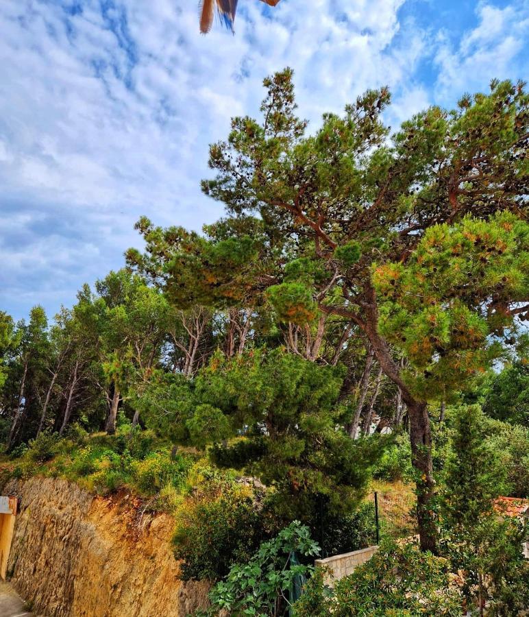 Mar18 Appartamento Makarska